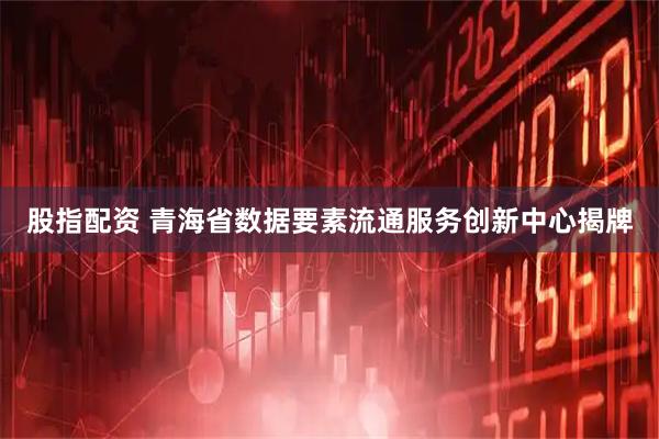 股指配资 青海省数据要素流通服务创新中心揭牌
