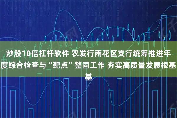 炒股10倍杠杆软件 农发行雨花区支行统筹推进年度综合检查与“靶点”整固工作 夯实高质量发展根基
