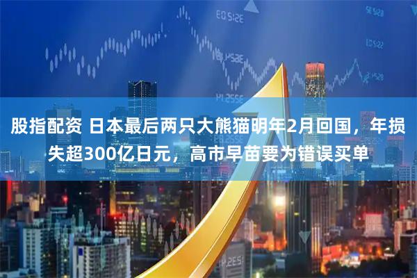 股指配资 日本最后两只大熊猫明年2月回国，年损失超300亿日元，高市早苗要为错误买单
