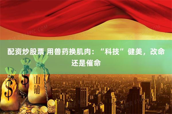 配资炒股票 用兽药换肌肉：“科技” 健美，改命还是催命