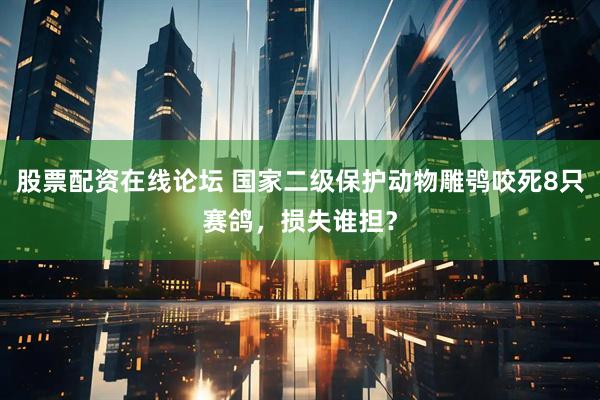 股票配资在线论坛 国家二级保护动物雕鸮咬死8只赛鸽，损失谁担？