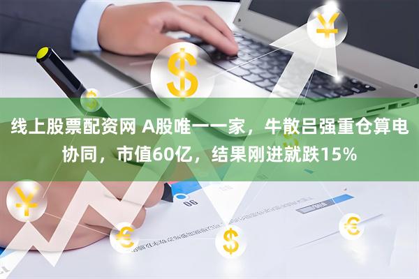 线上股票配资网 A股唯一一家，牛散吕强重仓算电协同，市值60亿，结果刚进就跌15%